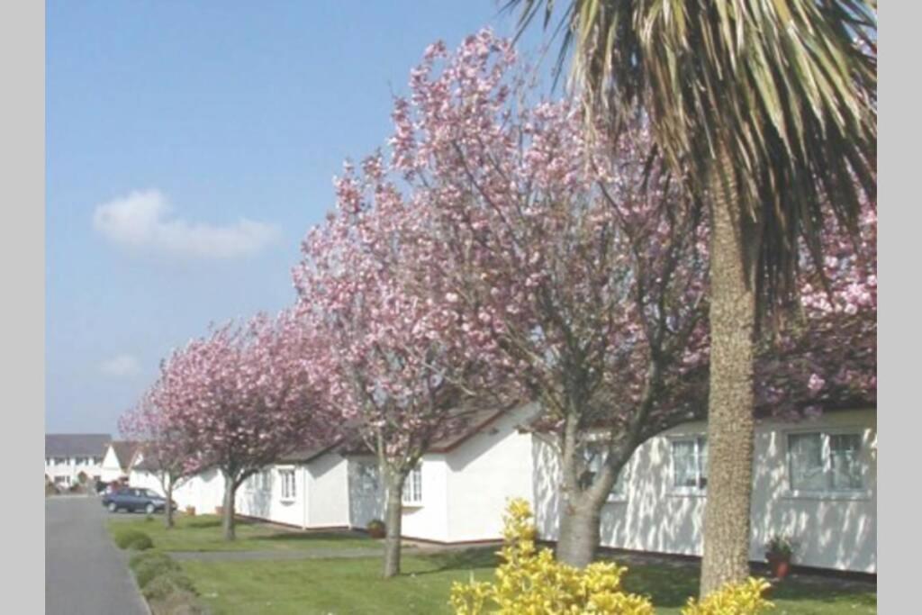 הוילה סוואנסי Perfect For The Family And Beaches - Gower Cwtch מראה חיצוני תמונה