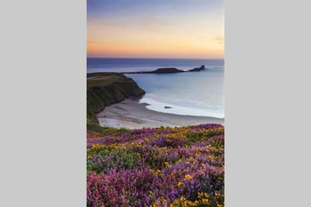הוילה סוואנסי Perfect For The Family And Beaches - Gower Cwtch מראה חיצוני תמונה